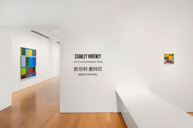 Stanley Whitney