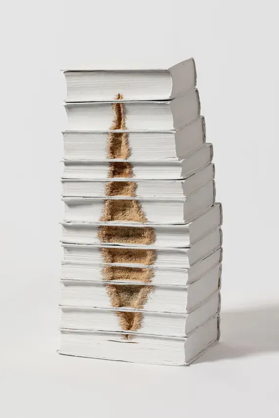 Book Collection-5