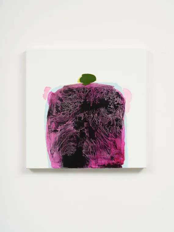 Stash (Magenta)