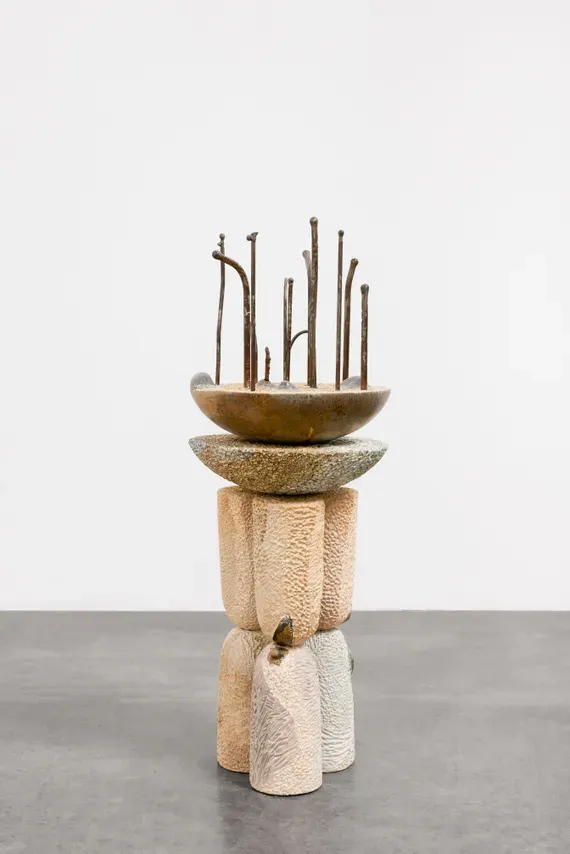 Untitled (from the Bandeiras e Assentamentos series)