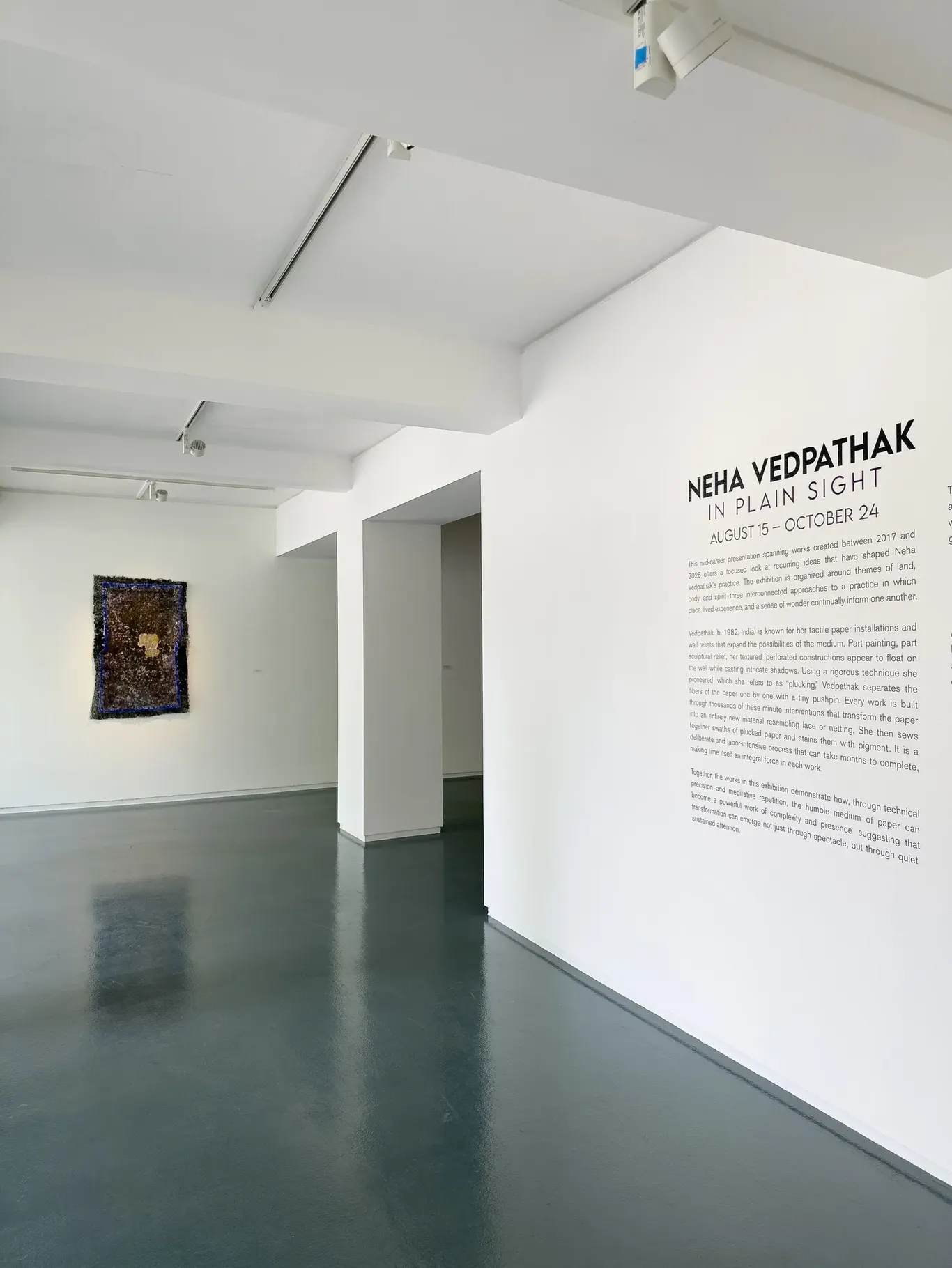 Neha Vedpathak: In Plain Sight