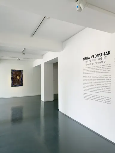 Neha Vedpathak
