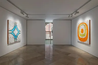 Adriana Varejão