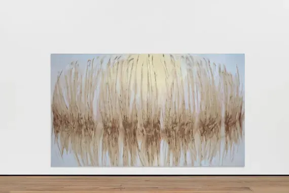 Paradaidha Arundo