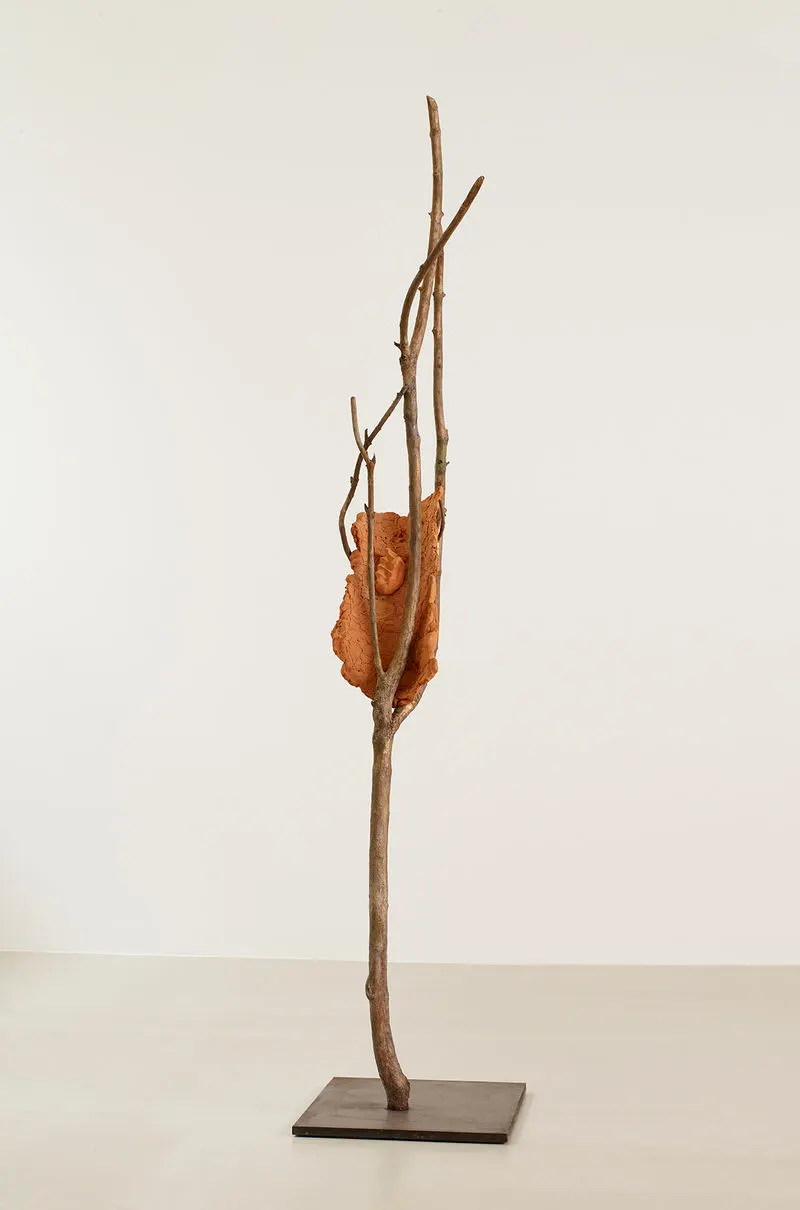 Giuseppe Penone, Terra su terra - Tronco