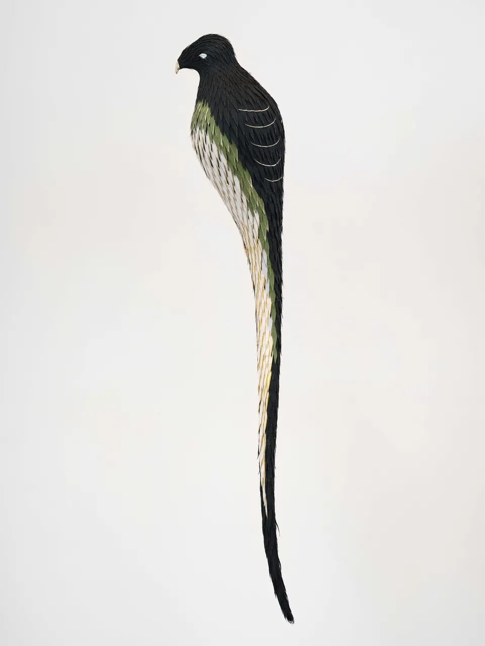 Roberto Benavidez, Bosch Bird No. 12