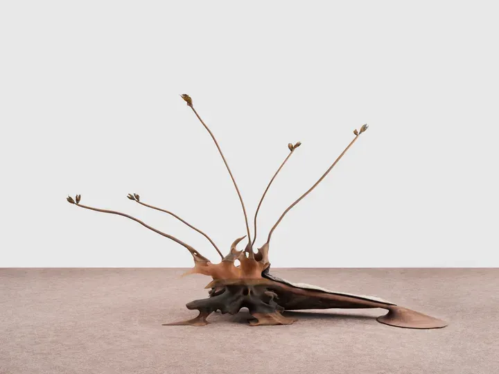 MARGUERITE HUMEAU, Skero (The Dormant)