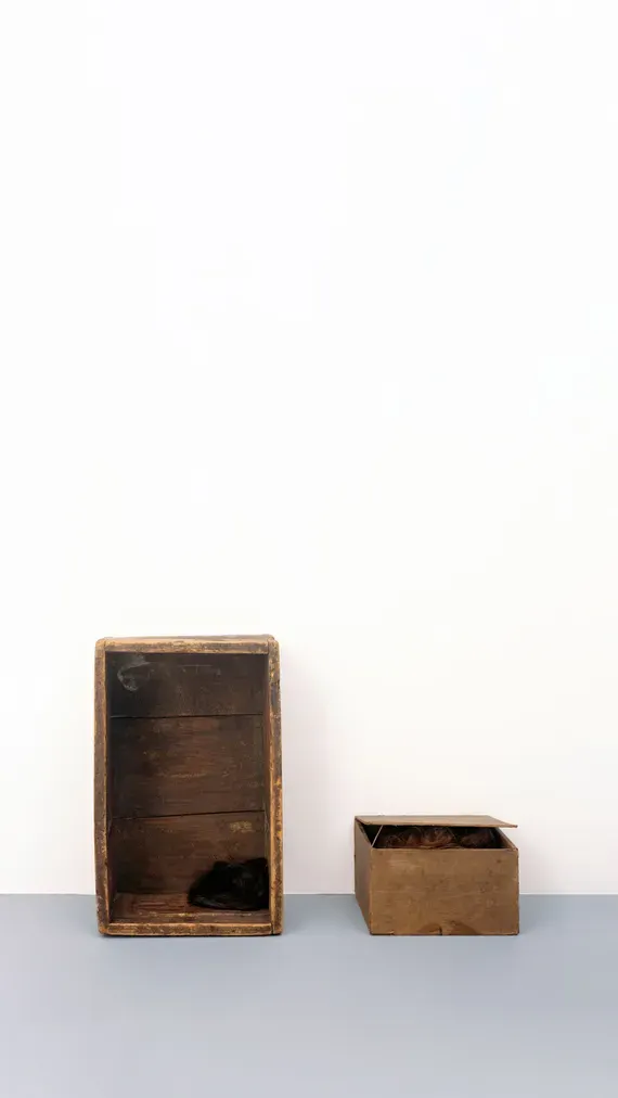 The Estate of Lucia Nogueira, Monosyllable