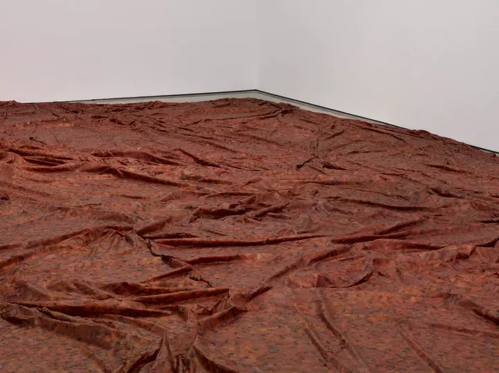 Doris Salcedo, A Flor de Piel