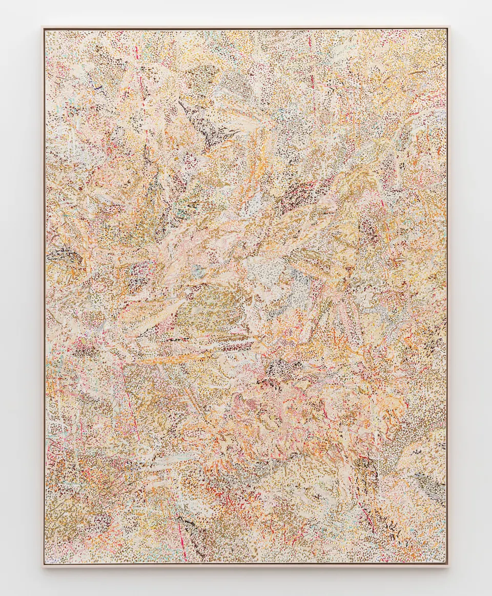 Nancy Graves, Camouflage Series #4