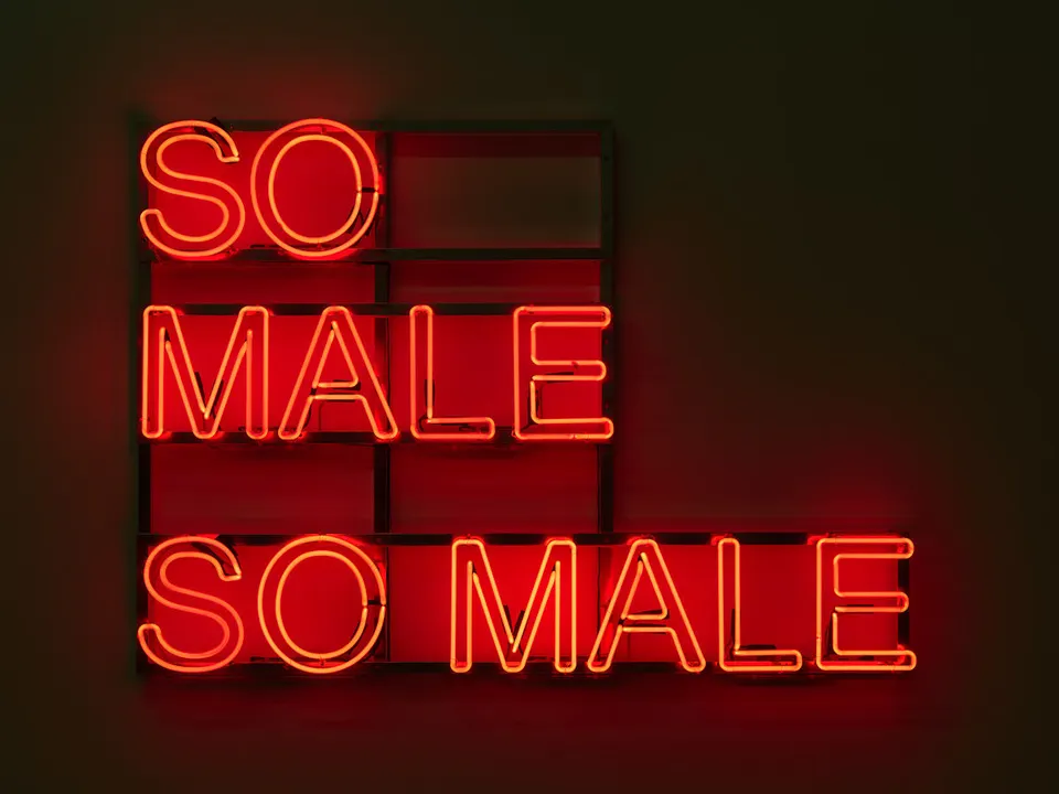 Monica Bonvicini, SO MALE
