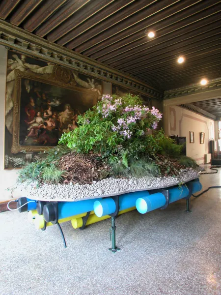 Simon Starling, Island For Weeds
