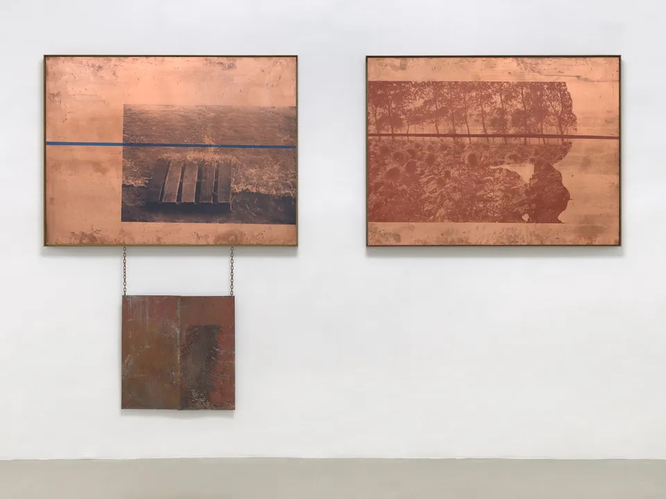 ROBERT RAUSCHENBERG, Cousins (Copperhead)