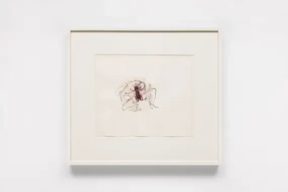 The Estate of Lucia Nogueira, Sem título [Untitled]