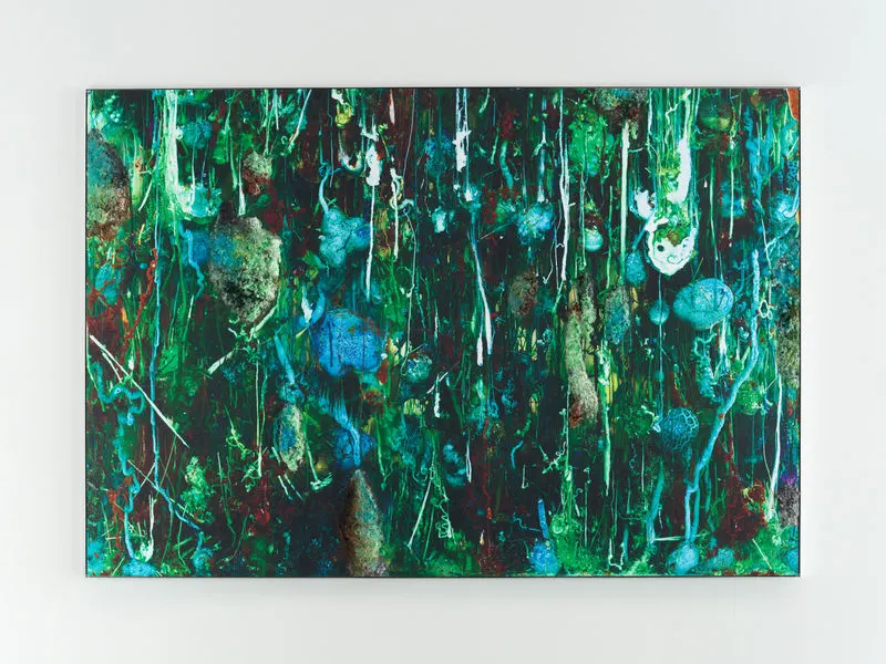 Agnieszka Kurant, Nonorganic Life 7