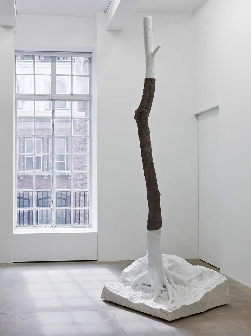 Giuseppe Penone, Indistinti Confini - Holona