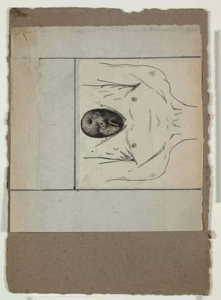 ROBERT RAUSCHENBERG, Untitled [chest and cavity]