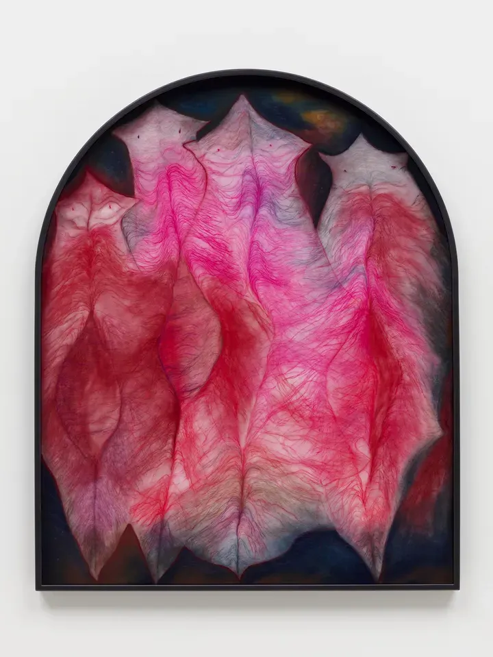 MARGUERITE HUMEAU, Translucidency: the courage of flatworms whose organs glow through their skin, the willingness to