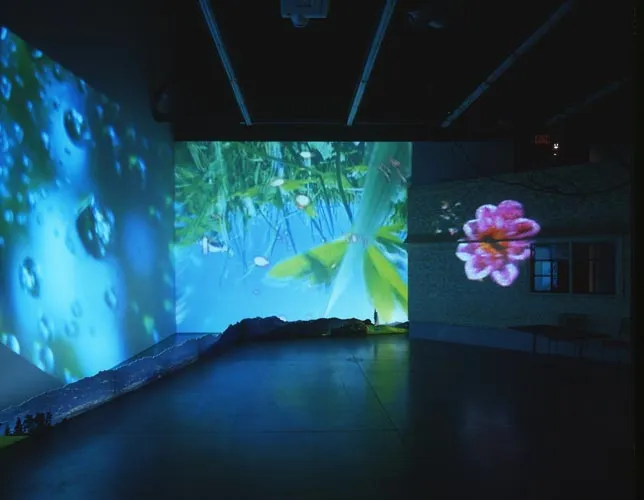 Pipilotti Rist, Herbstzeitlose (Saffron Flower or Fall Time Less)