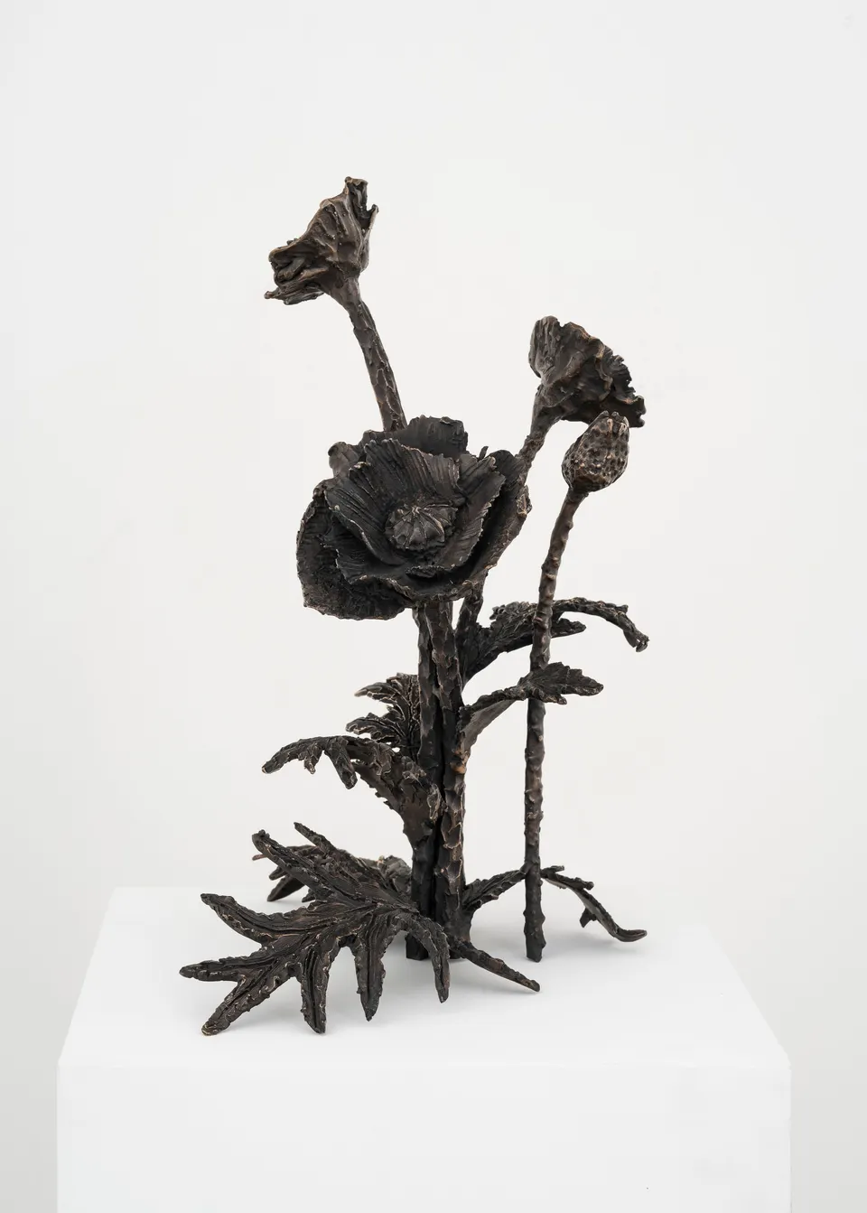 Jean-Marie Appriou, Poppies (the dream)
