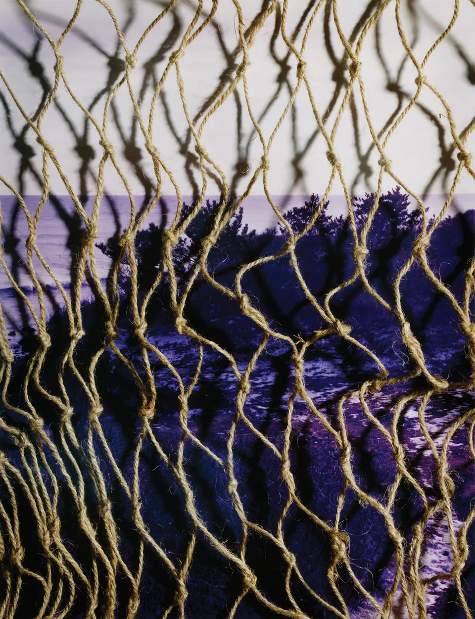 Roe Ethridge, Cliff in Montauk with Net