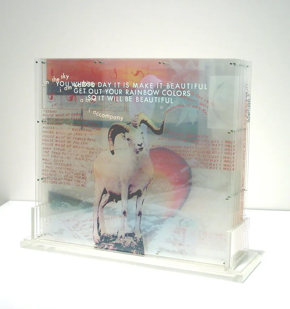 ROBERT RAUSCHENBERG, Opal Gospel