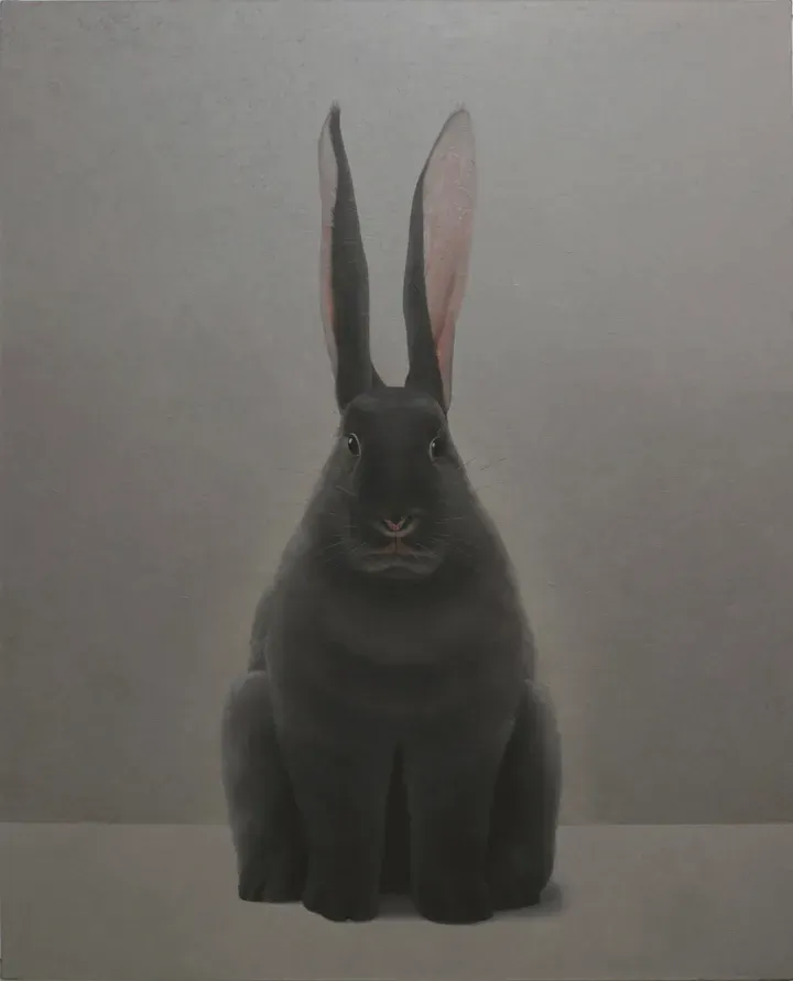 Shao Fan, Rabbit Portrait - Yichou