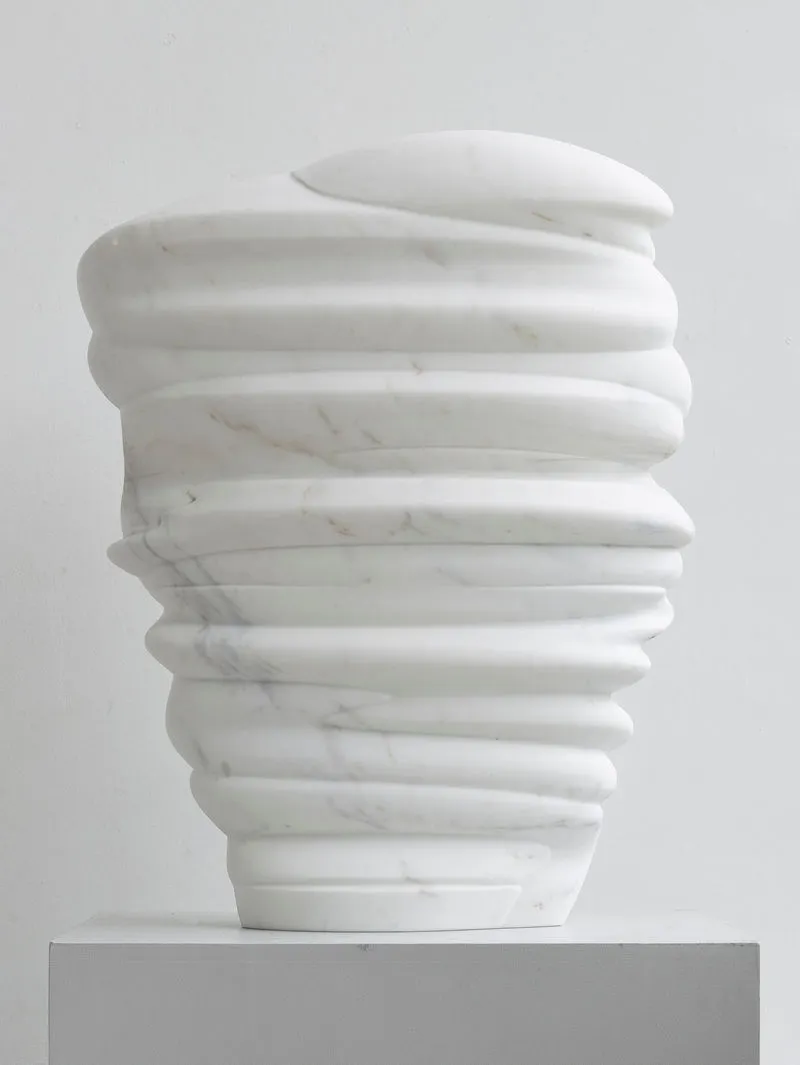 Tony Cragg, Masks