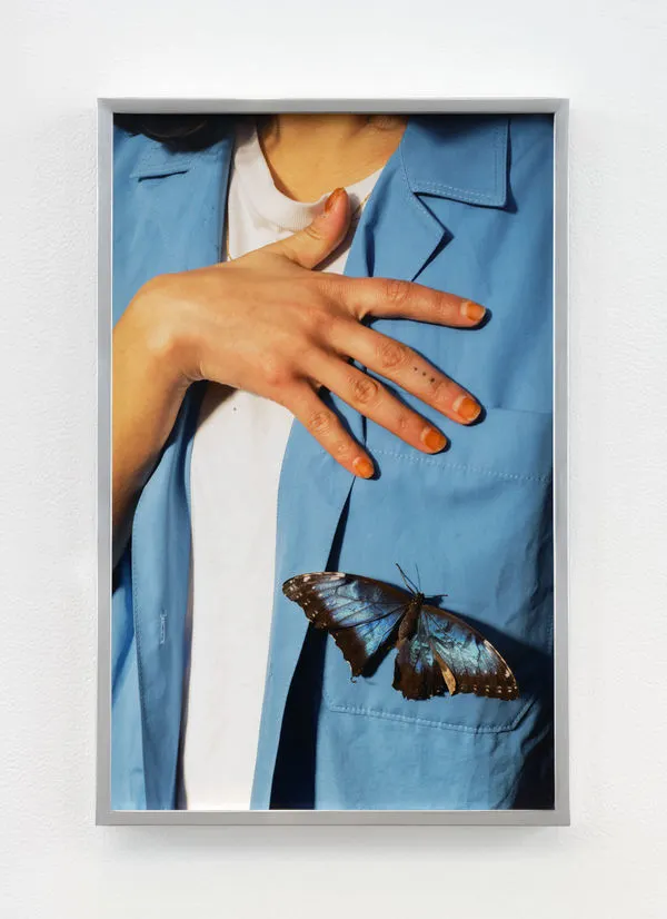 Farah Al Qasimi, Blue Butterfly