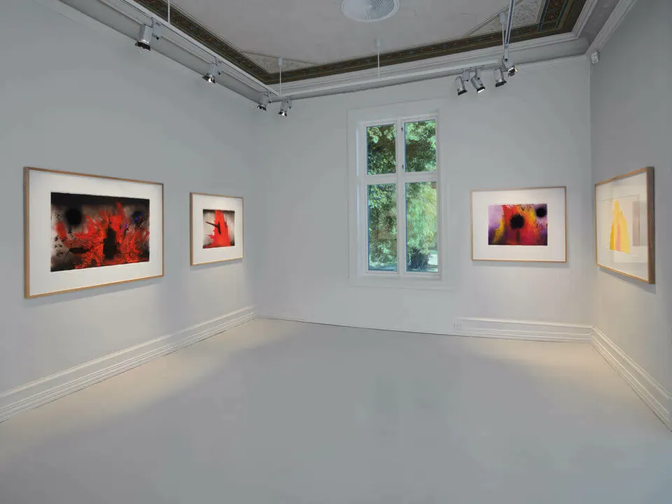 Anish Kapoor, Installation view