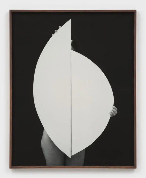 Sheree Hovsepian, Second Self #5