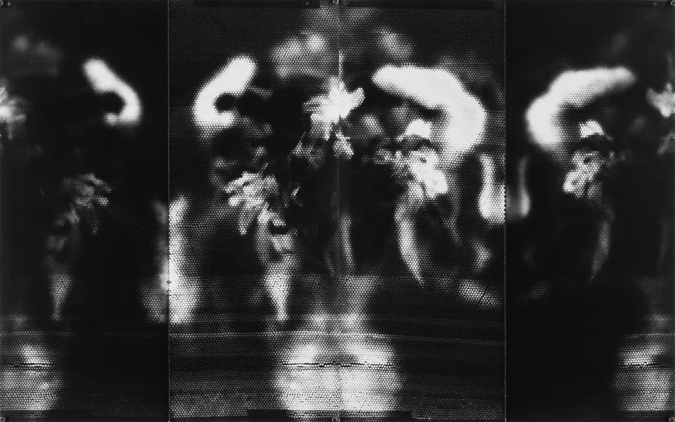 John Shen, Arrangement (Cat Woman)