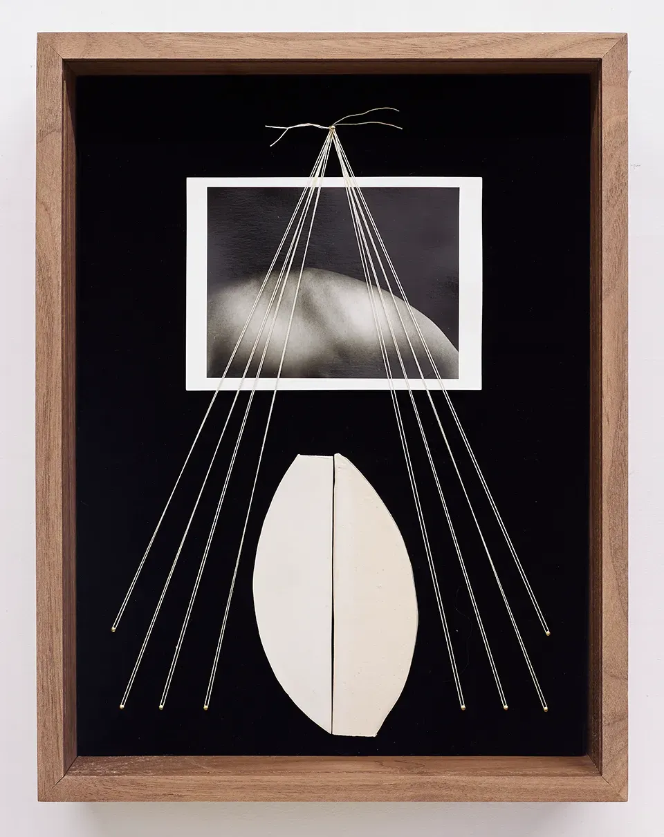 Sheree Hovsepian, Lucida