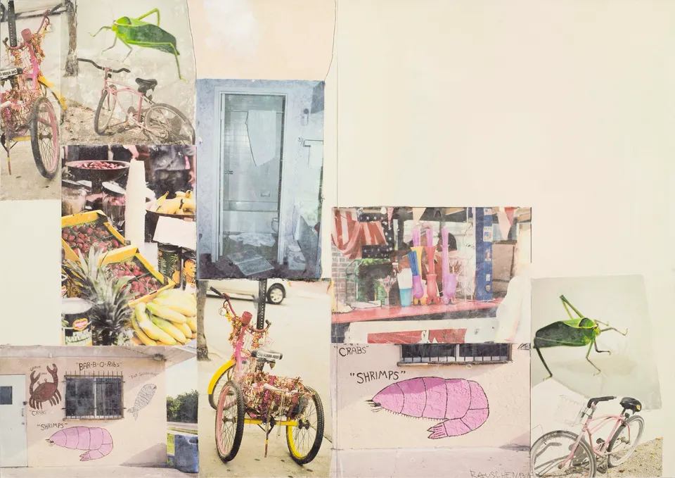 ROBERT RAUSCHENBERG, Catydid Express (Scenario)
