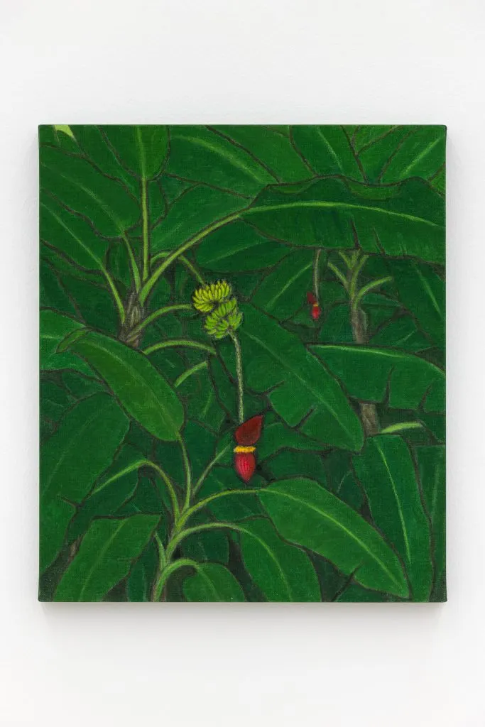 Kim Bohie, Towards