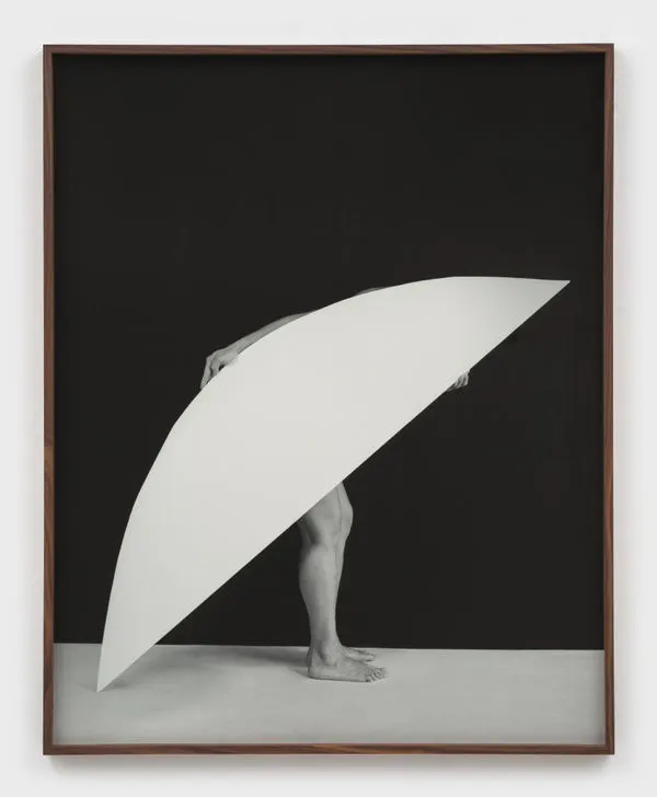 Sheree Hovsepian, Second Self #4