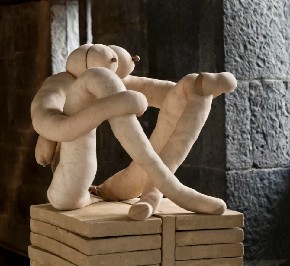 Sarah Lucas, hollian