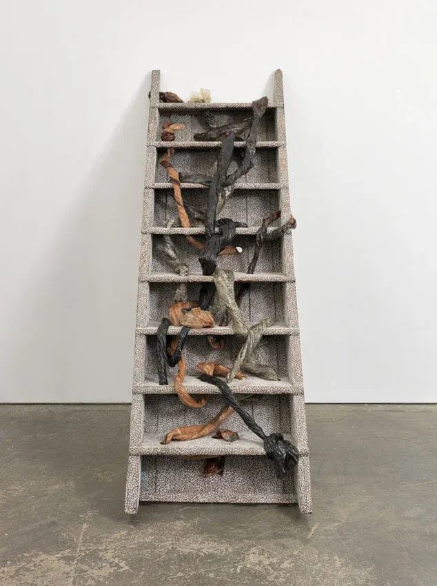 Bharti Kher, Deaf snakes