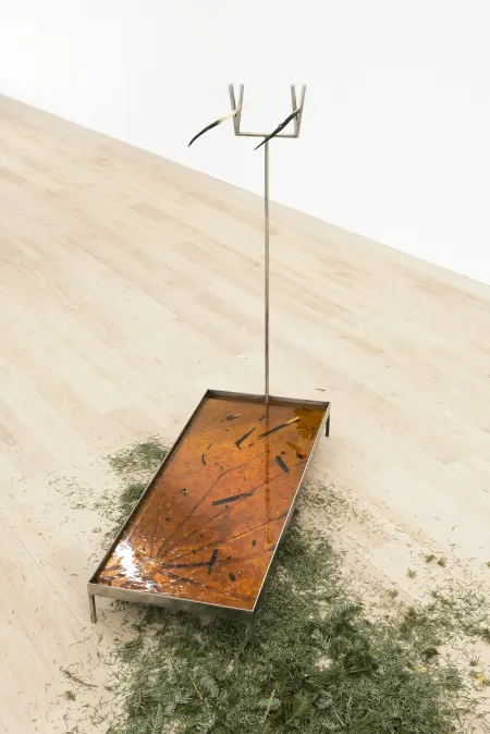 Jura Shust, Reflects and multiplies light
