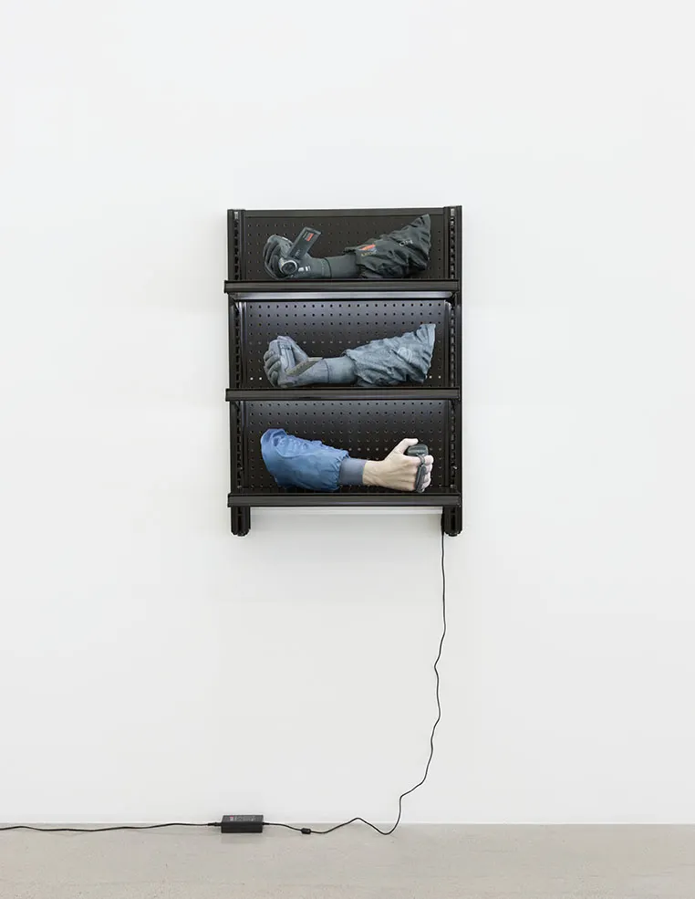 Josh Kline, Facial Incarceration Software