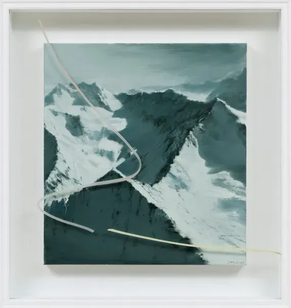 Jia Aili, Pink Curve