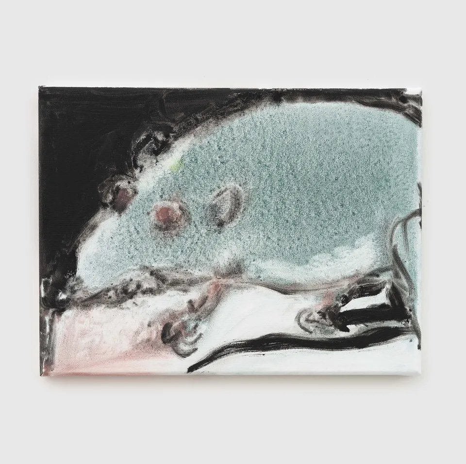 Marlene Dumas, Rat