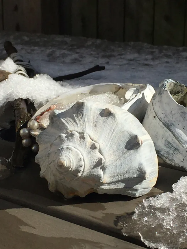 Roe Ethridge, Rockaway Thaw