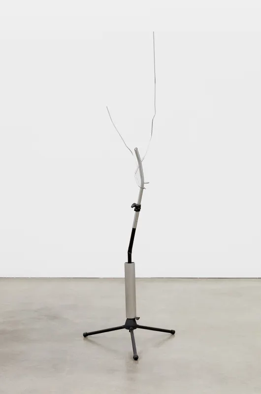 Josh Callaghan, Mic Stand Growth Spurt,