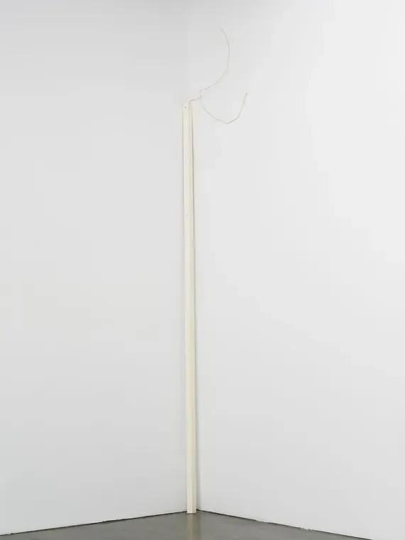 The Estate of Lucia Nogueira, Snail