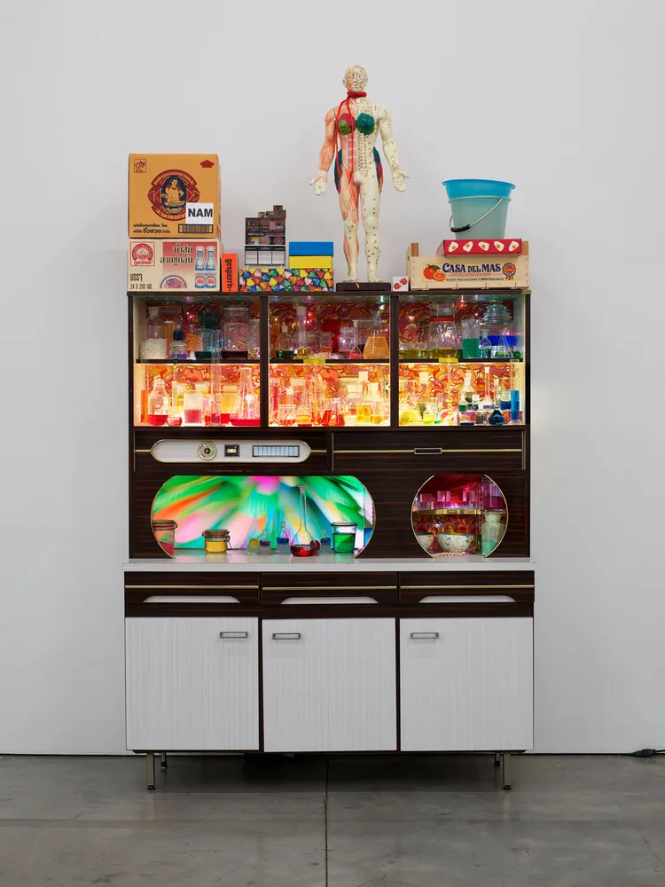 Pipilotti Rist, Tosender Speicher (Thunderous Accumulator)