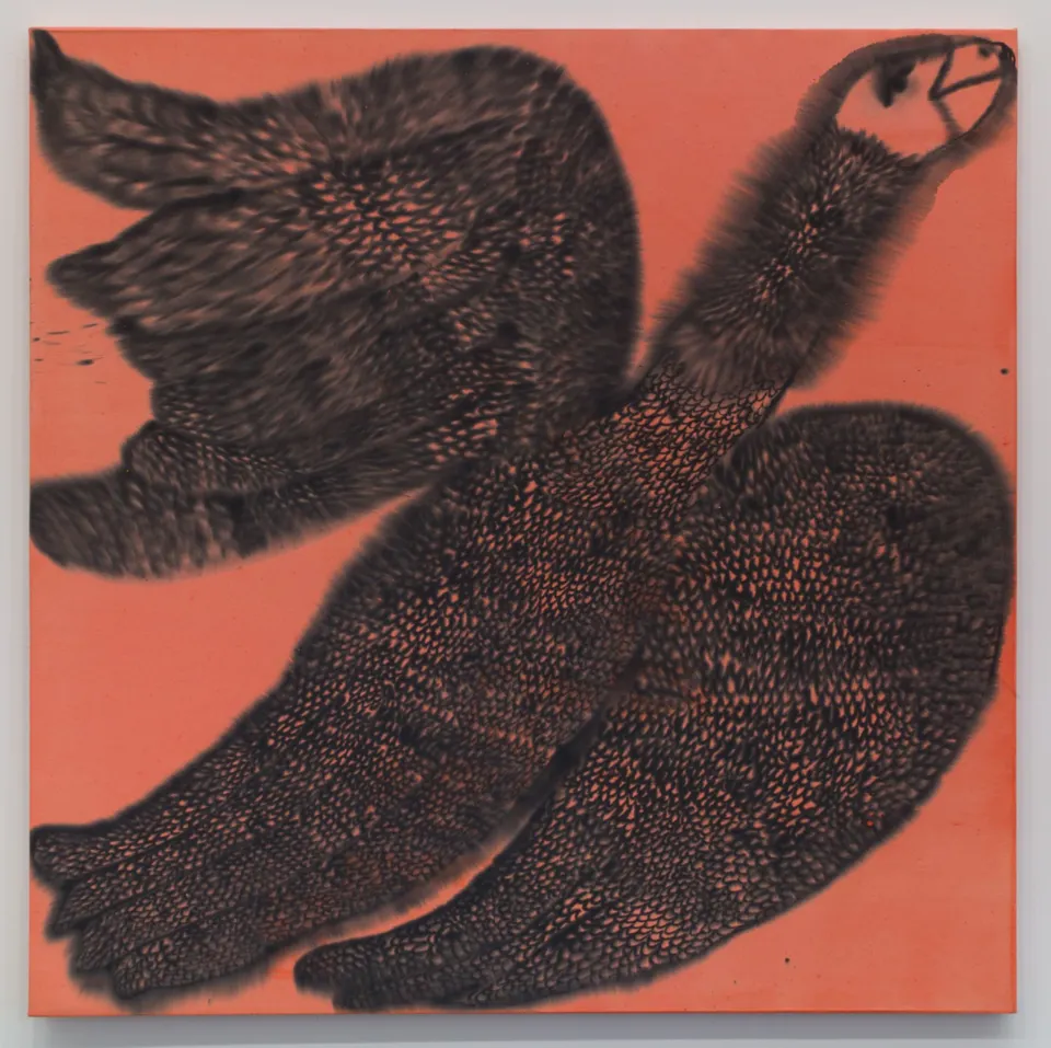 Emma Kohlmann, Swan Dive