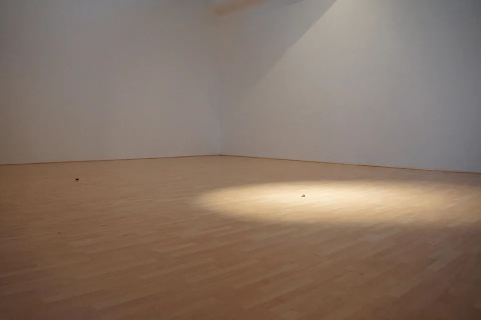 Wilfredo Prieto, illuminated stone and unilliminated stone
