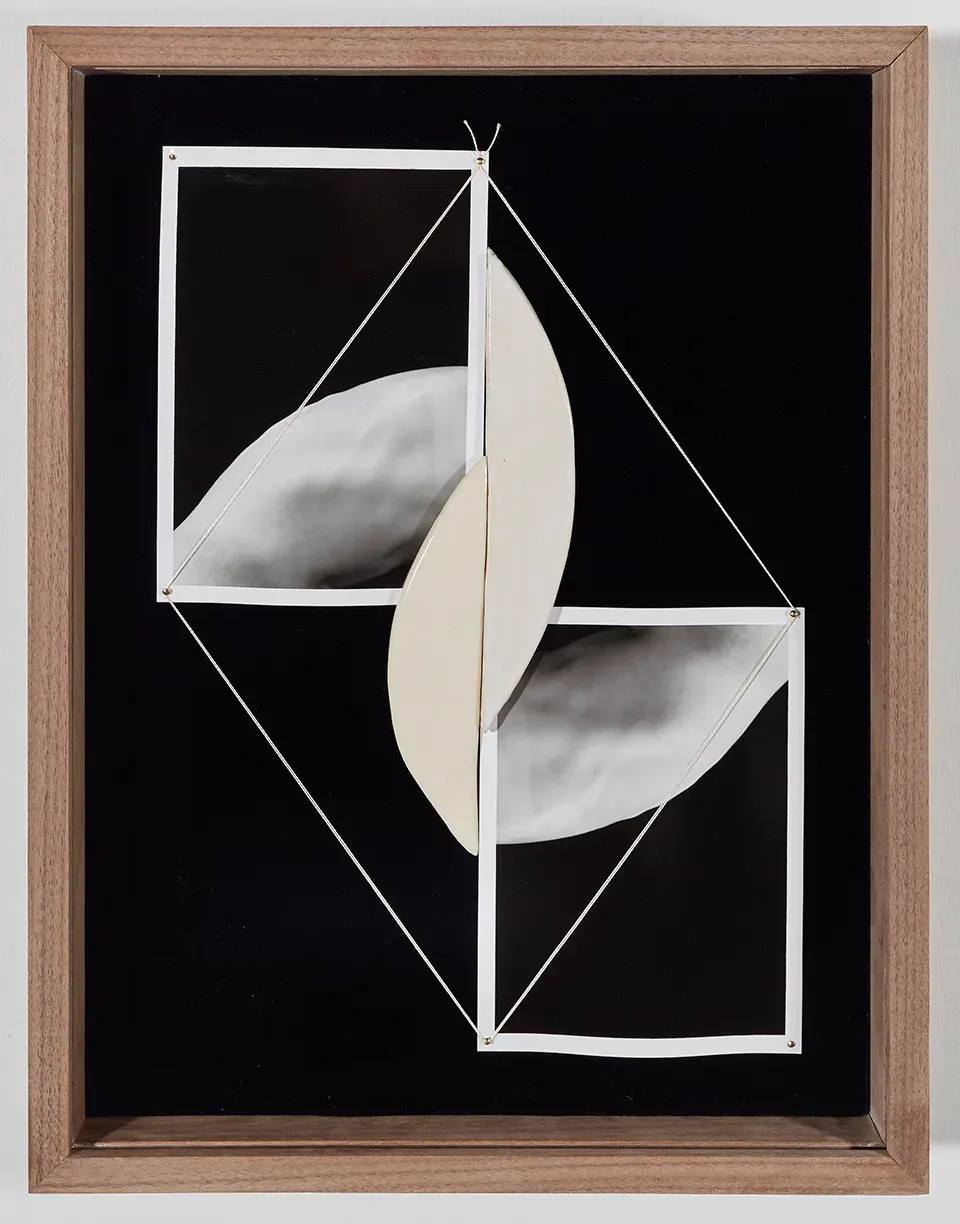 Sheree Hovsepian, Eidetic