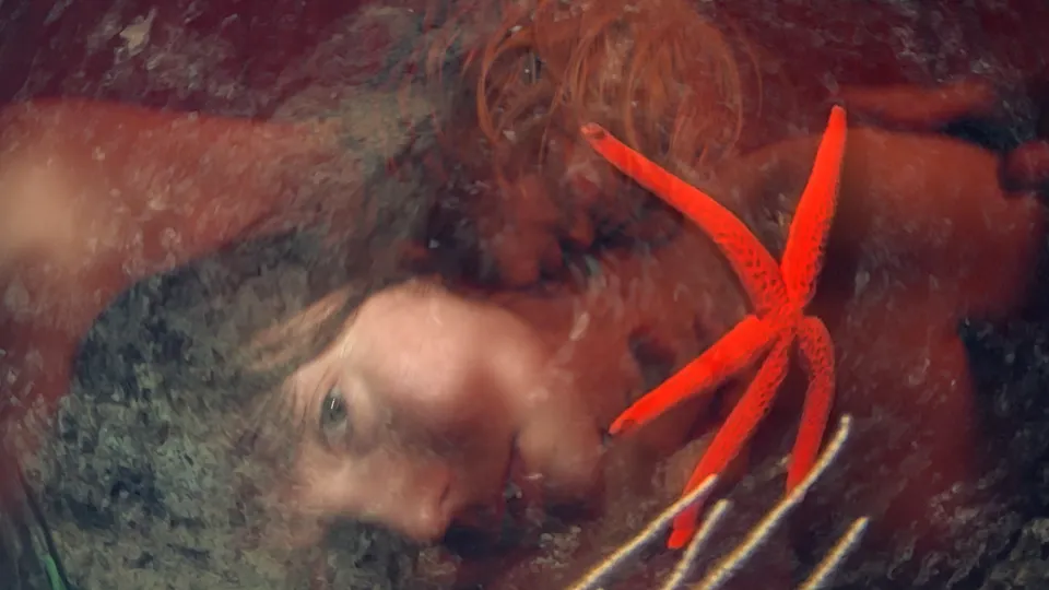 Laure Prouvost, Still of Four For See Beauties